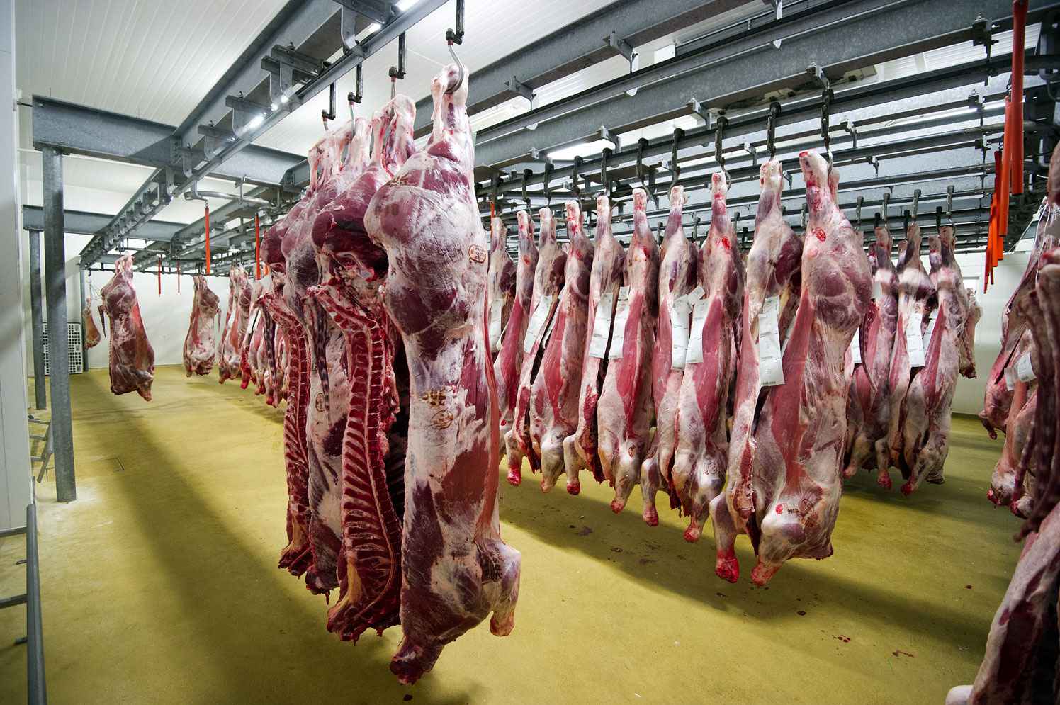 1489080103755-2048x1536-fit_illustration-abattoir-france