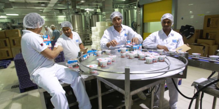 Workers work in a dairy factory in Doha