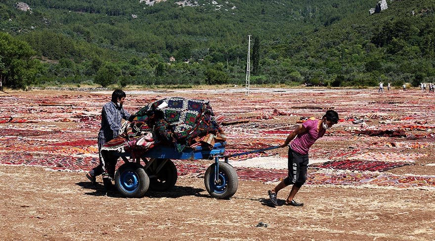 مليون سجادة تغطي حقول أنطاليا التركية … تعرف على السبب؟