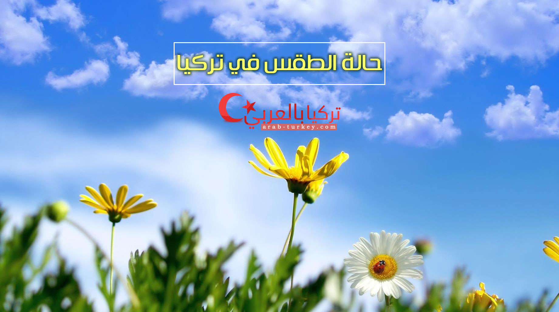 كيف سيكون طقس العيد في تركيا