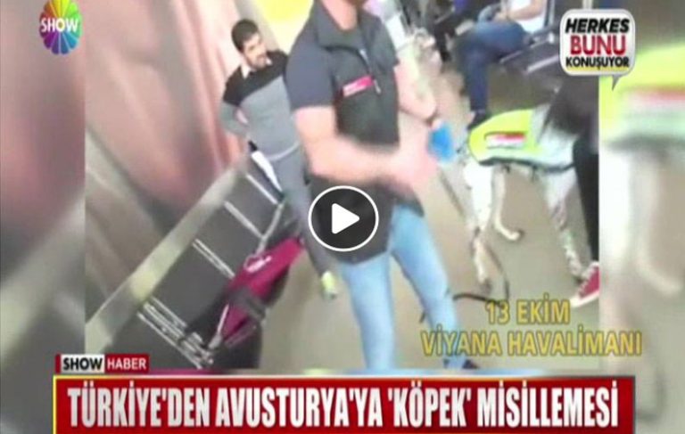 arab-turkey.com_585705