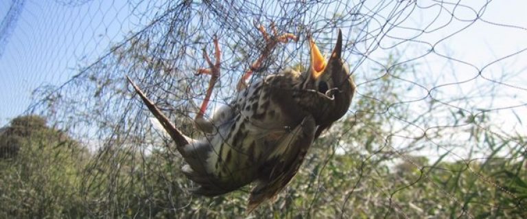 arab-turkey.com_585563