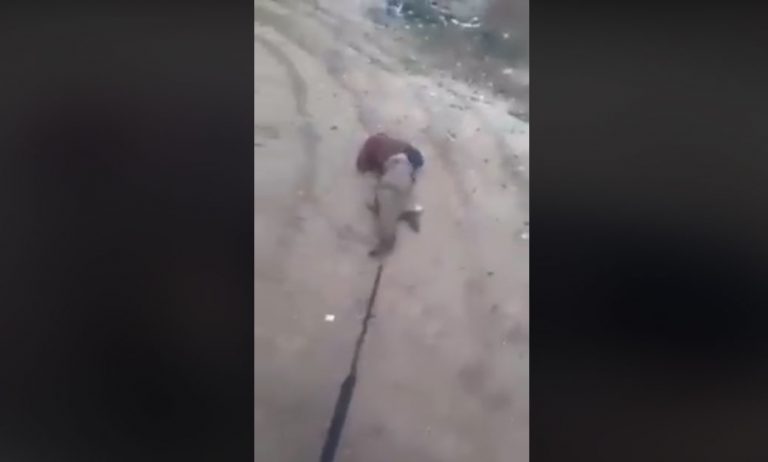 arab-turkey.com_585565