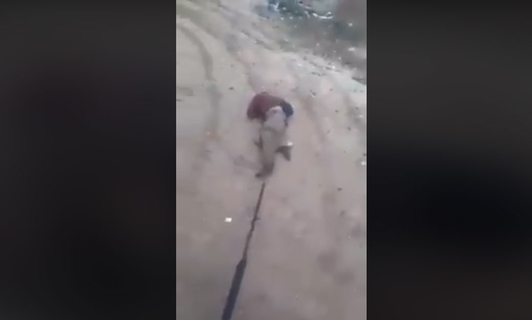 arab-turkey.com_585565