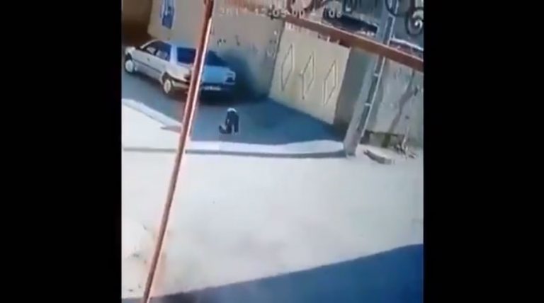 arab-turkey.com_585806