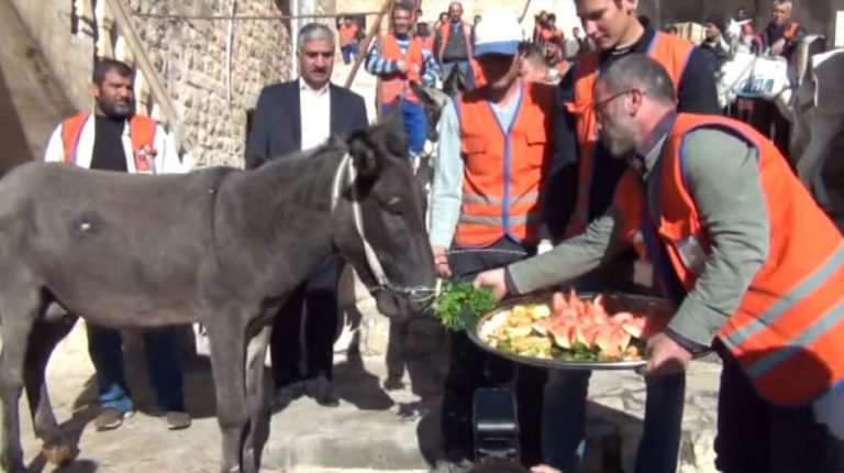 arab-turkey.com_585810