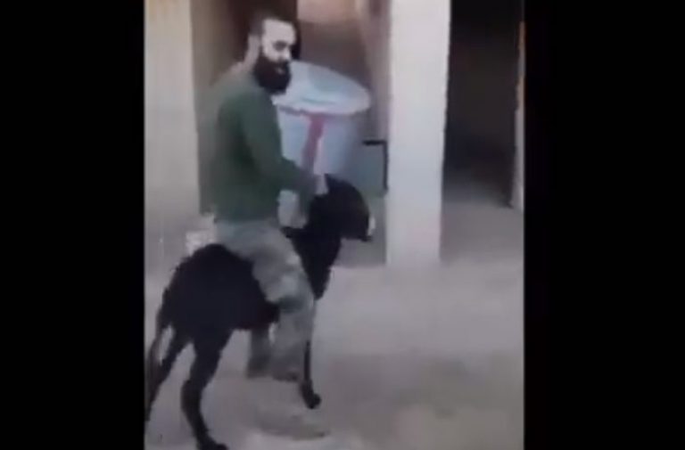 arab-turkey.com_585824