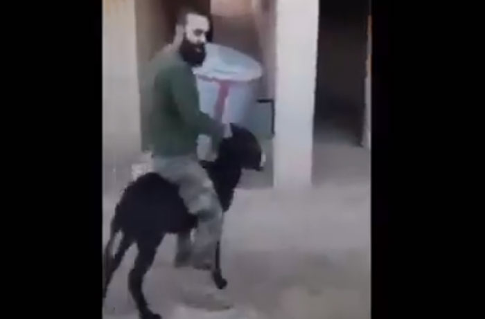 arab-turkey.com_585824