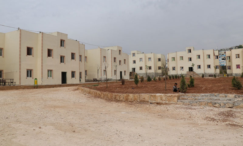 syria43