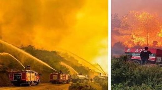 اندلاع حرائق في غابات هاتاي والسلطات التركية تتصرف!!