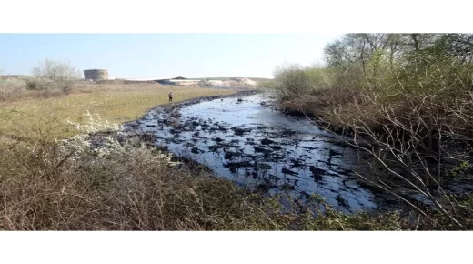 انتشار أطنان من زيت الوقود المستخدمة لصناعة الأسفلت في الأراضي بولاية ادرنة والسبب!! (صور)