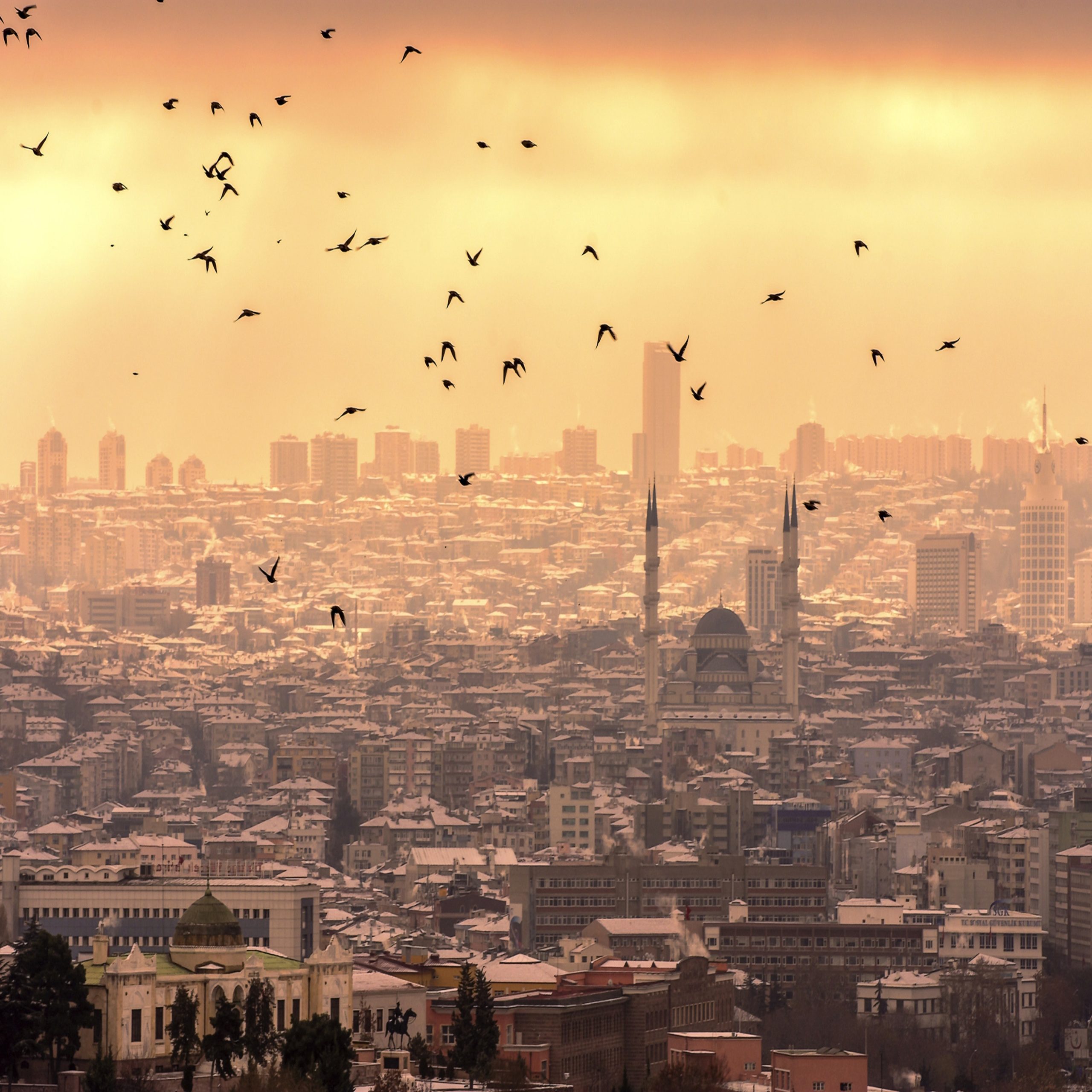 معاينة