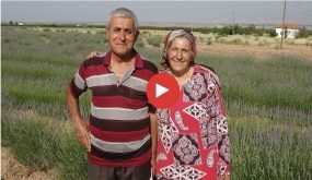 من الإنترنت إلى الحقول.. زوجان تركيان يبدآن مشروع زراعة الخُزامى في ملاطية (فيديو)