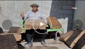 مشهد لا يُصدق في أضنة… الذباب يتساقط بالجملة! (فيديو)