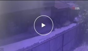 تدريب رماية يتحوّل إلى مأساة في اسطنبول (فيديو)