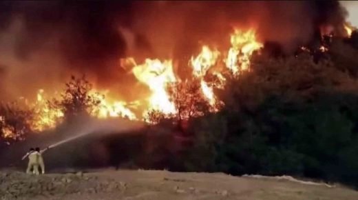 سكاريا تحترق… وبيلجيك في الخطر! صور تحبس الأنفاس من خط النار (فيديو)