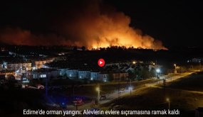 استنفار في أدرنة.. حريق غابات خطير يقترب نحو الأحياء السكنية! (فيديو)