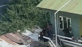 شجار عنيف بين عائلتين سوريتين في موش وإصابة امرأة (فيديو)