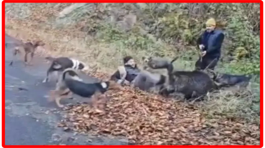 طرابزون: إنقاذ صياد من موقف خطِر خلال رحلة صيد في منطقة حرجية (فيديو)