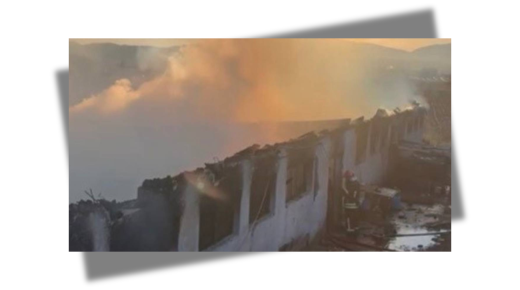 حريق كبير يؤدي إلى نفوق 8 أغنام و 120 طائرًا في عثمانية (فيديو)