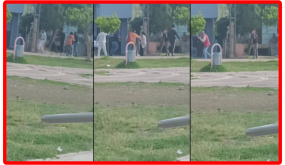 شجار مسـ.ـلّح بالعصي والبنادق في أضنة (فيديو)