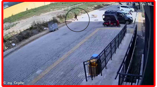 طفل يتعرض لملاحقة من كلاب شاردة في هاتاي.. والكاميرا توثق لحظات الخوف (شاهد)