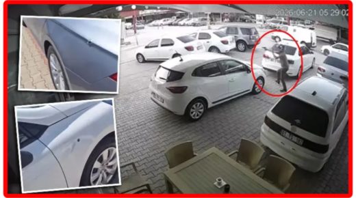 هجوم مسـ.ـلح على معرض سيارات في أضنة.. وأضرار في عدد من المركبات (فيديو)