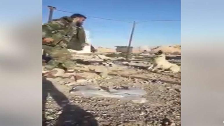 ضابط في جيش بشار الأسد يحرق كلباً وهو حي (شاهد)
