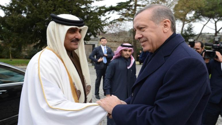الرئيس أردوغان يهنئ أمير قطر بالإفراج عن مواطنيه من العراق