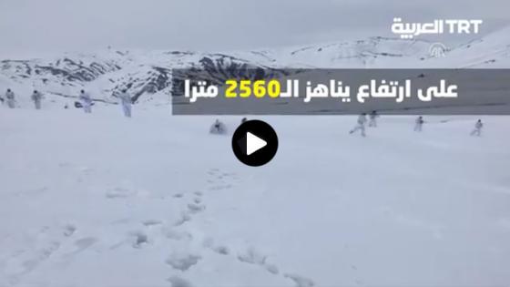 شاهد| على ارتفاع يناهز الـ2560 مترا.. مهام متعددة لأبطال القوات الخاصة التركية