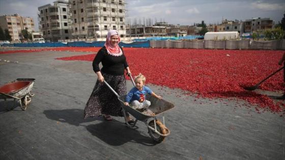 “دبس الفليفلة الحارة”.. “طقوس خاصة” تزين شانلي أورفة