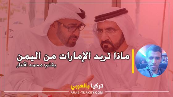 ماذا تريد الإمارات من اليمن .. بقلم محمد المختار