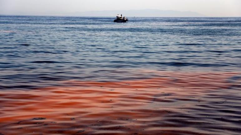 مياه بحر مرمرة تتلوّن بالبرتقالي في ظاهرة طبيعية