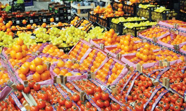 أسعار اليوسفي والتفاح تحلق في تركيا وتتجاوز 300 في المائة