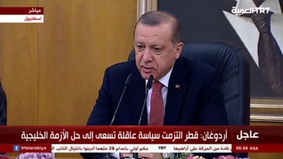 الرئيس التركي رجب طيب أردوغان خلال تصريحات في مؤتمر صحفي عقده بمطار أتاتورك بمدينة إسطنبول 