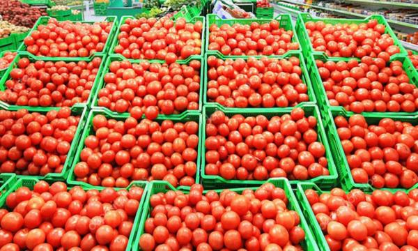 الطماطم تحـ.ـ طم جميع الأرقام القياسية خلال السنوات 7 الماضية بزيادة قدرها 191%