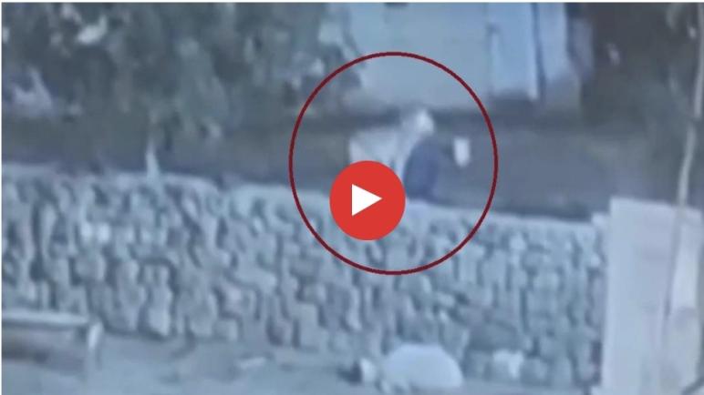 نجاة معجزة في ديار بكر… الذئب هاجم والخروف أنقذ نفسه بخداع بصري! (فيديو)