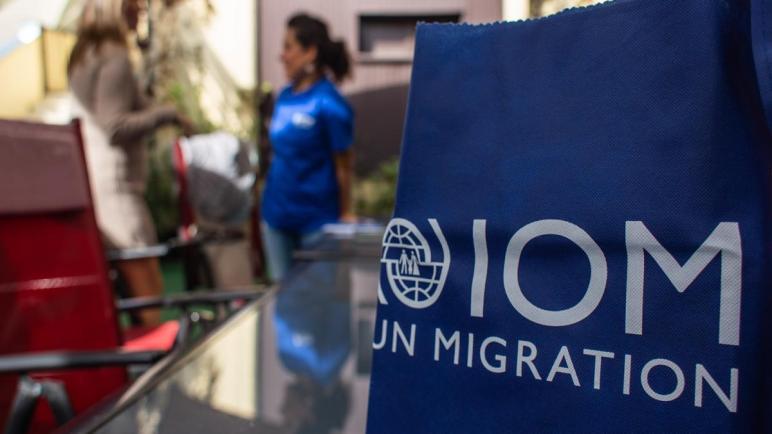 رابط التواصل مع المنظمة الدولية للهجرة (IOM)