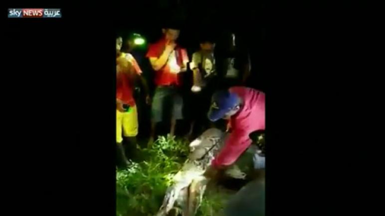 شاهد بالفيديو.. ثعبان أناكوندا ابتلع رجلا في إندونيسيا