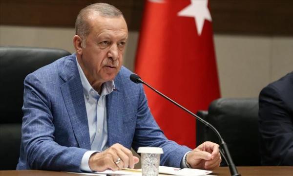 أردوغان: تركيا تواصل جهودها لإحلال السلام في المنطقة