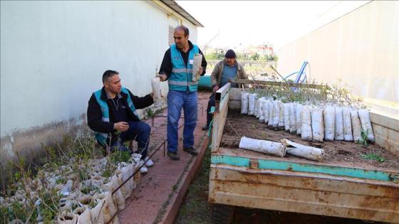 سجناء في تركيا يقضون محكومياتهم في حقول الفستق